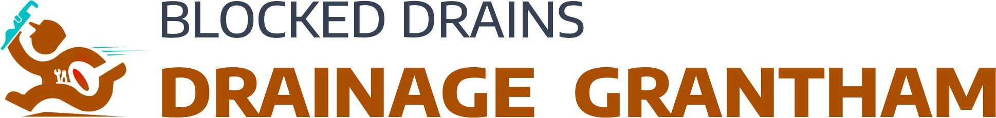 website logo